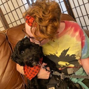 Meet your Posher, Liz